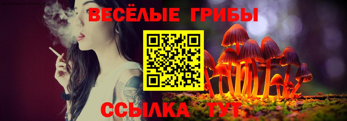 Псилоцибиновые грибы MAGIC MUSHROOMS  Вход с VPN  Псилоцибиновые грибы мухоморы  Знаменск 